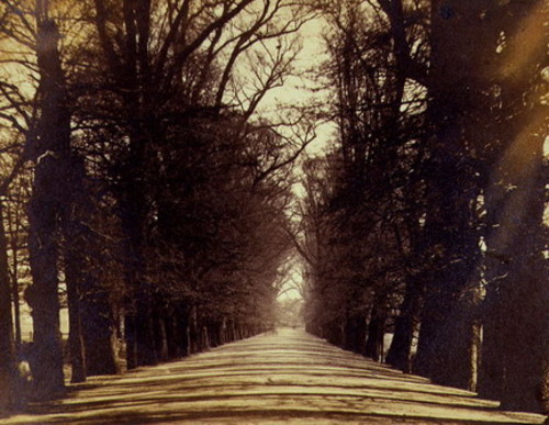 Broad Walk in Christ Church Meadow, 1861.